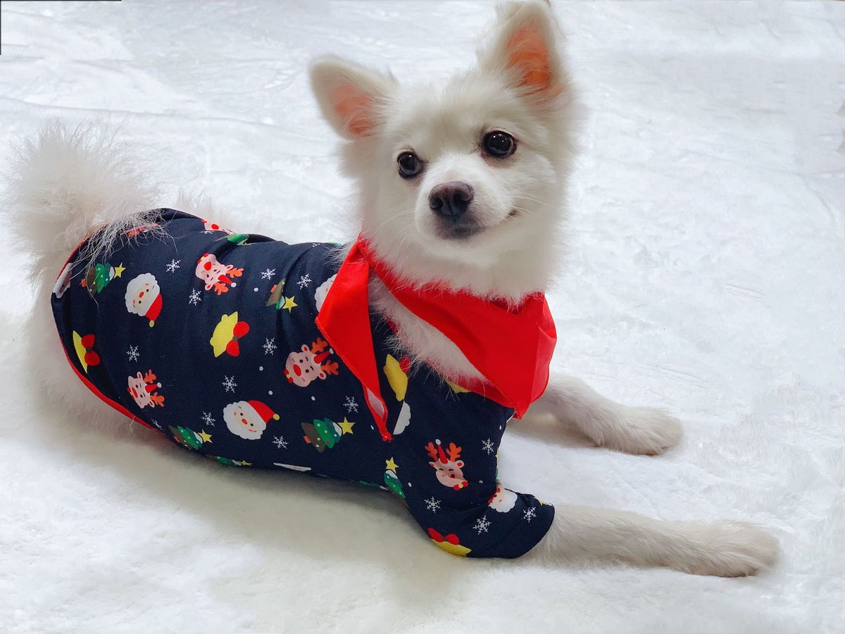 Dog wearing the matching Christmas Night pet pajama