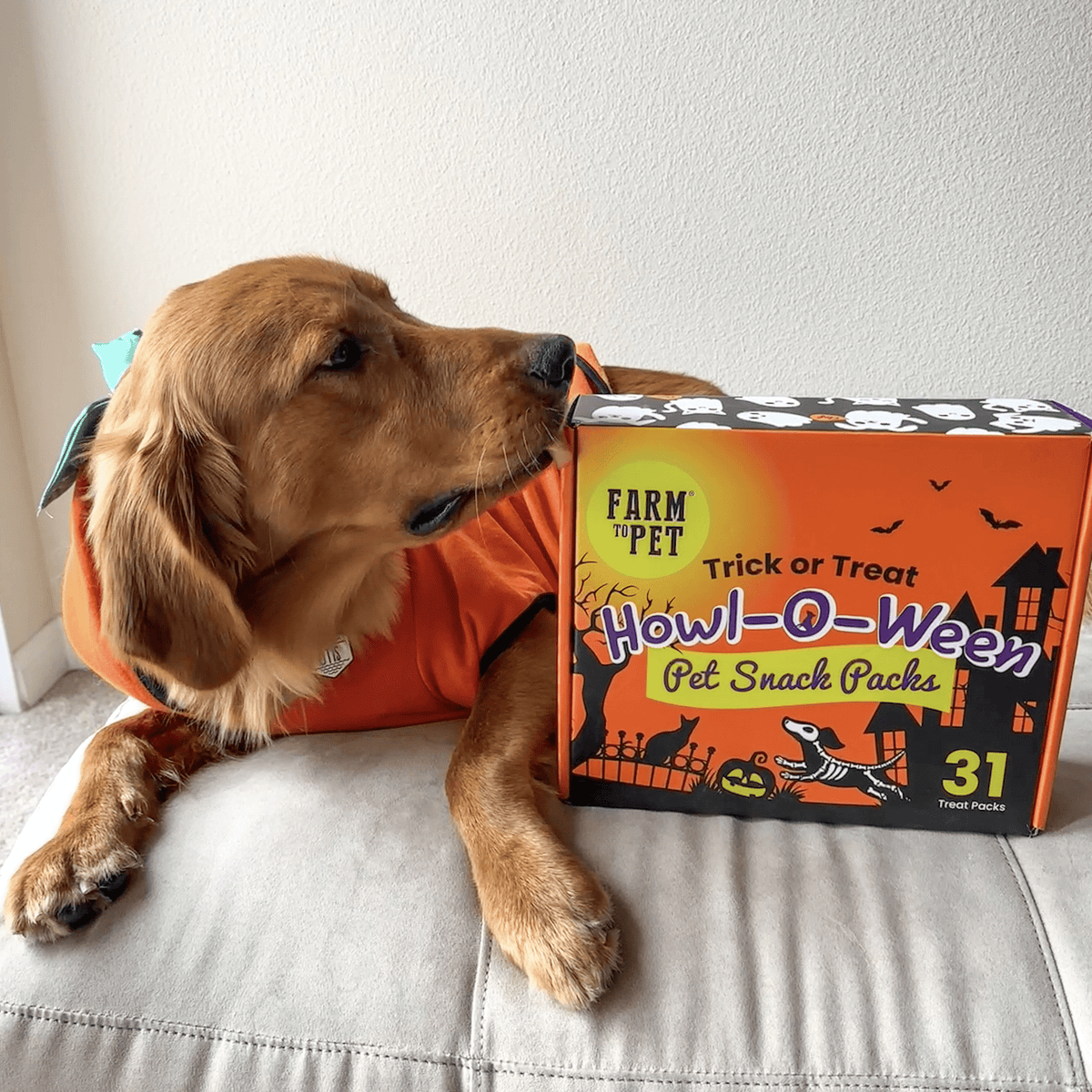 Howl-o-ween Dog Treat Box, photo 9
