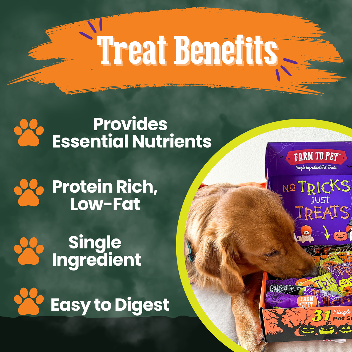 Howl-o-ween Dog Treat Box, photo 7