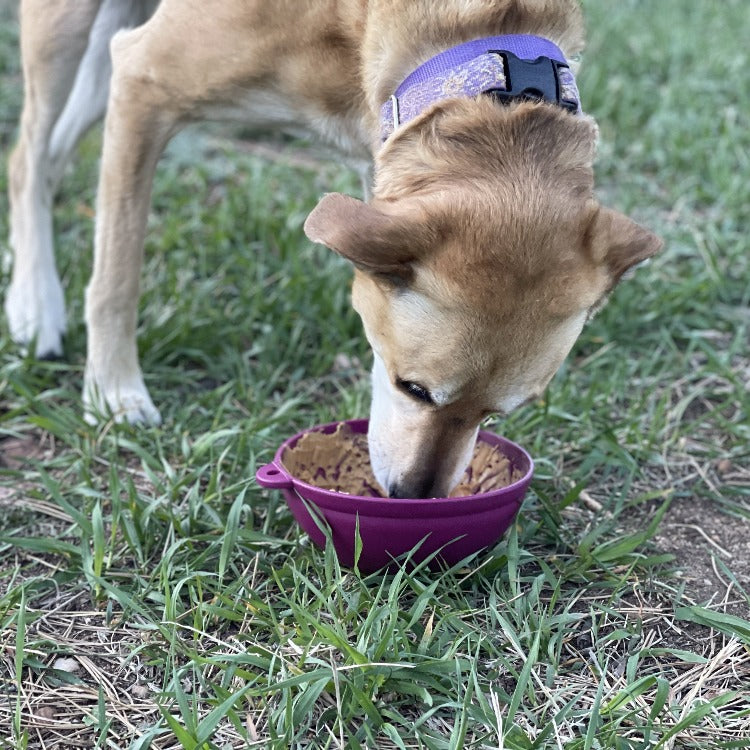 Garden Wobble Lick Bowl for Dogs & Cats, photo 10