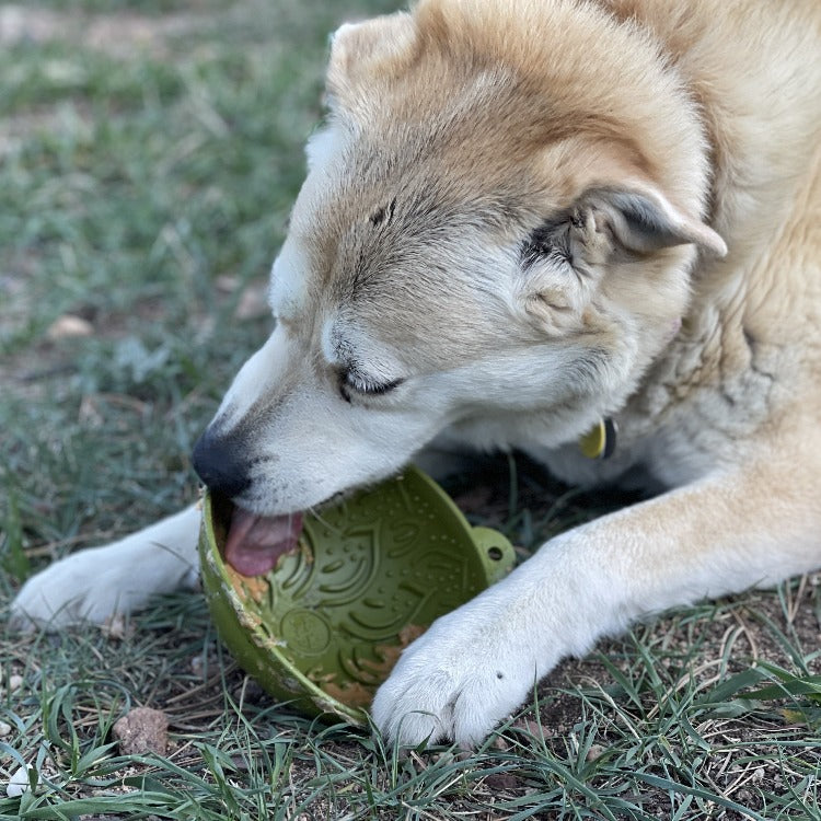 Garden Wobble Lick Bowl for Dogs & Cats, photo 11