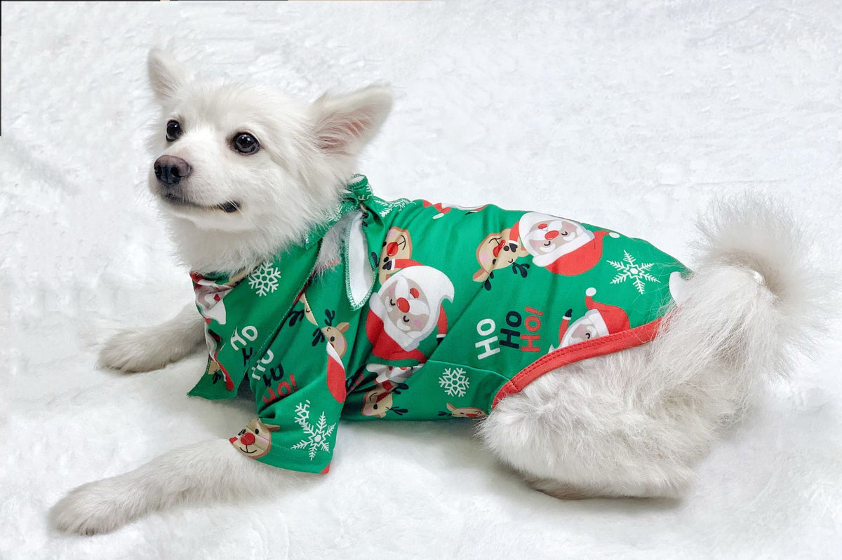 Dog wearing the matching green Santa pet pajama